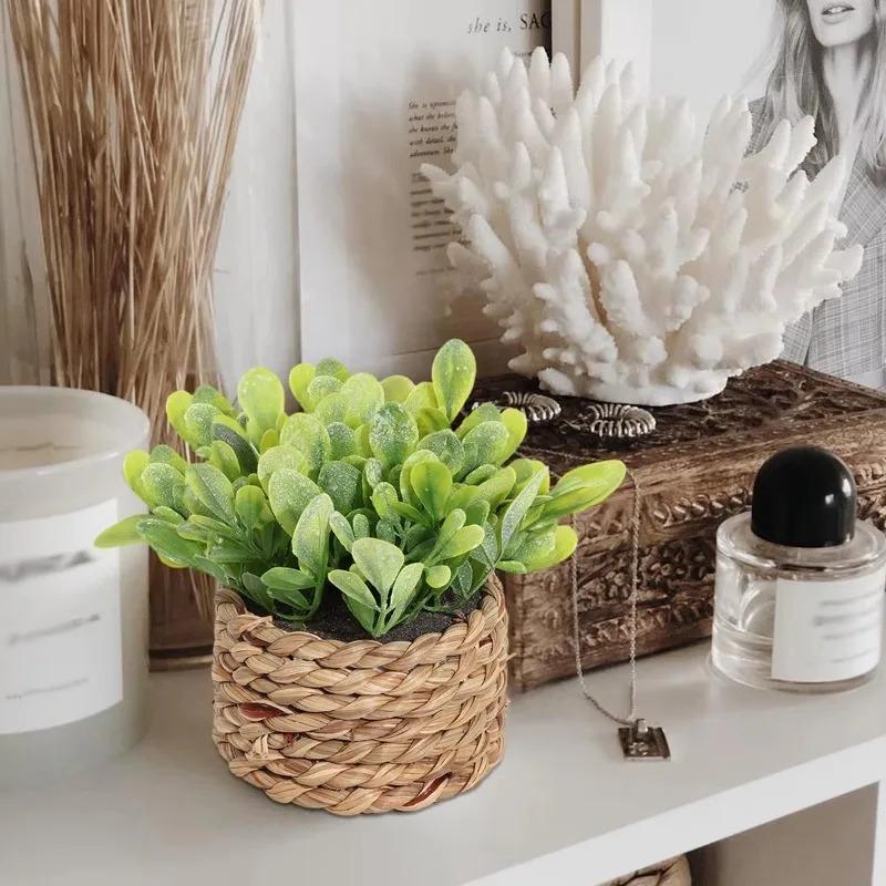 1Pc Potted Plant Small Fake Pl - Home Office Word ulasan dan harga