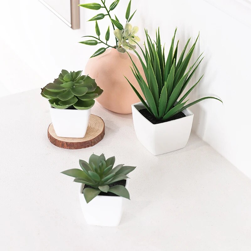 3PCS Artificial Evergreen Plan - Home Office Word ulasan dan harga